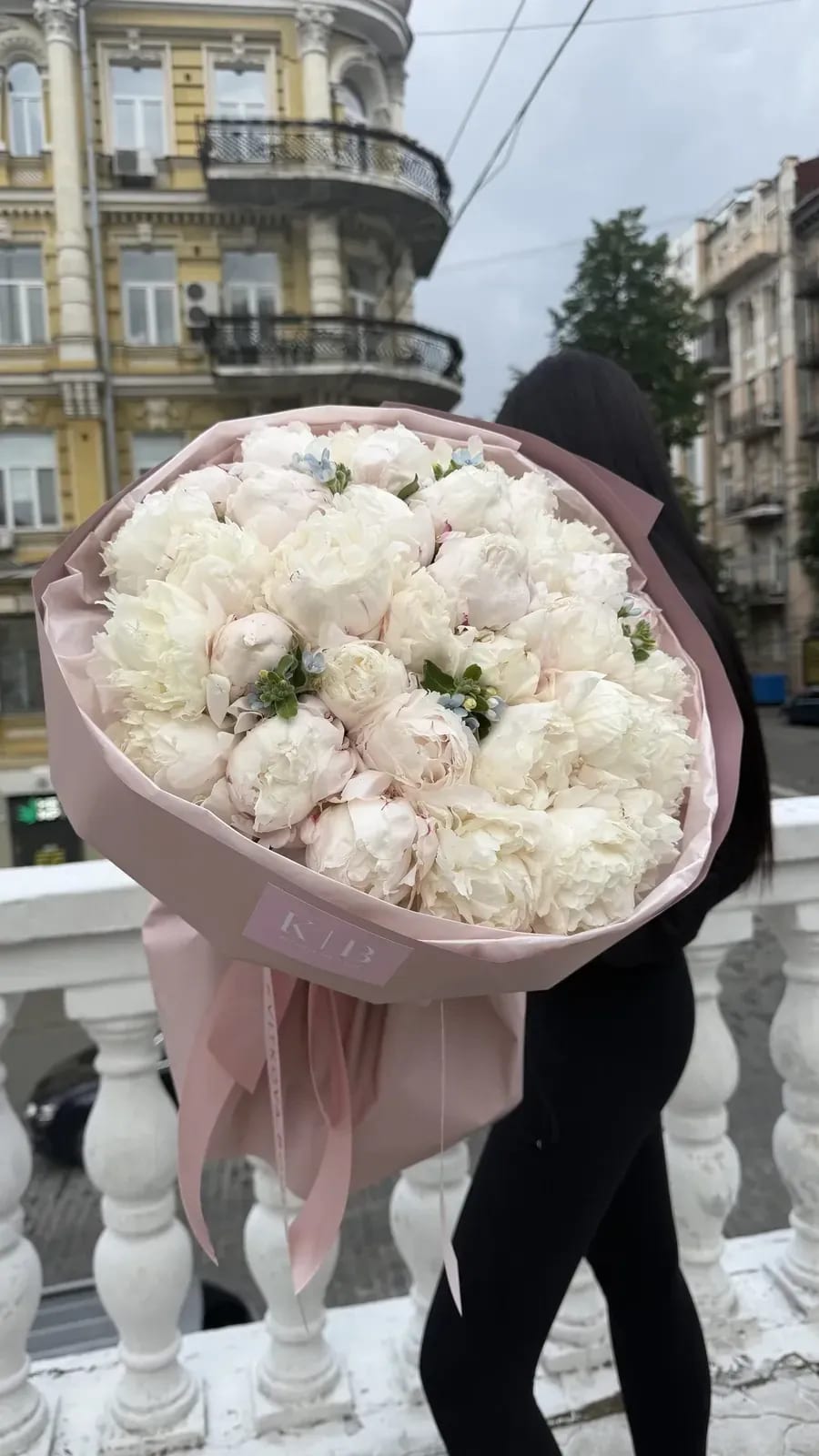 Півонія біла