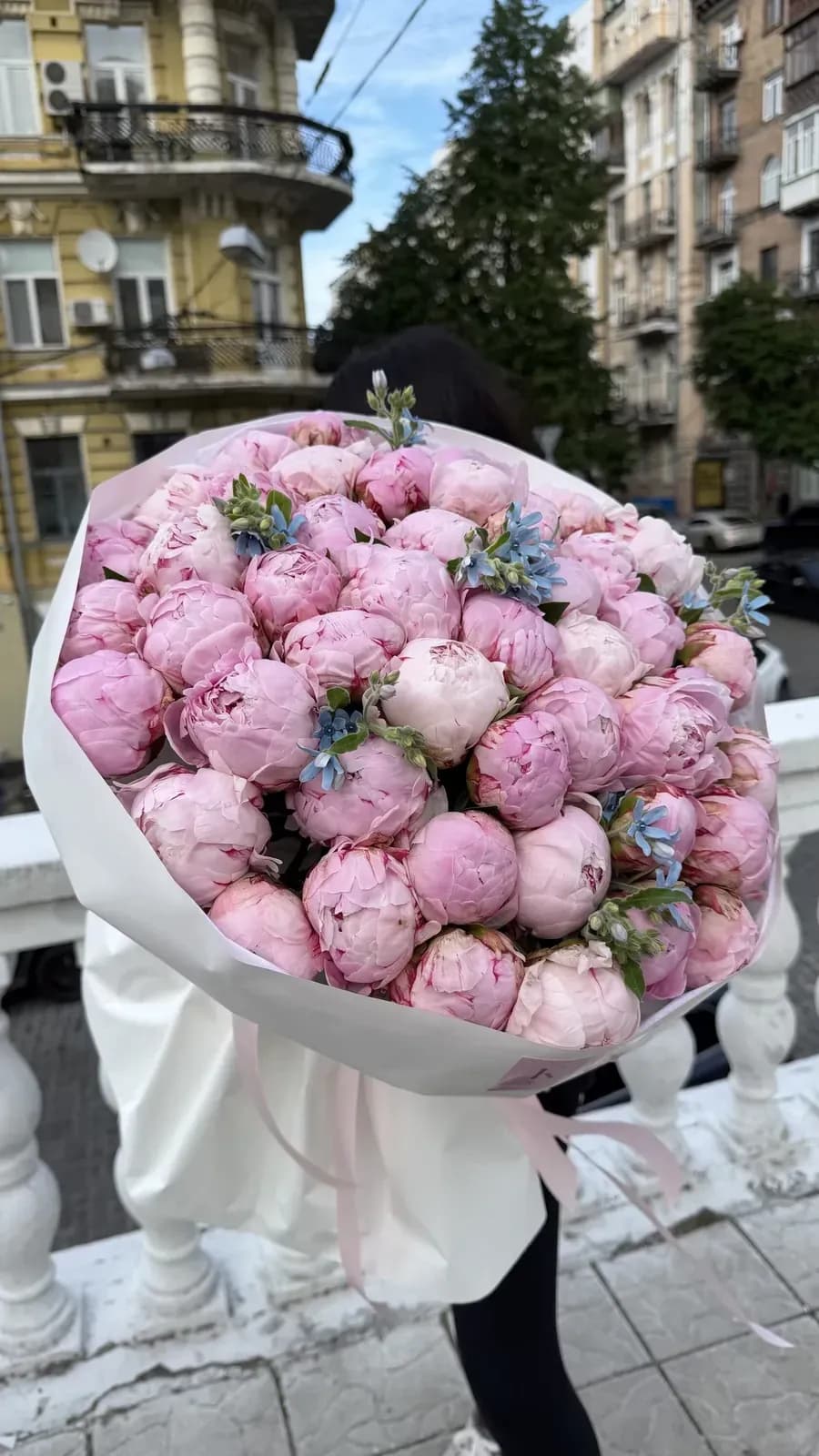 Півонії яскраво рожева
